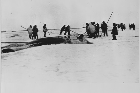 Eskimos: Hunger