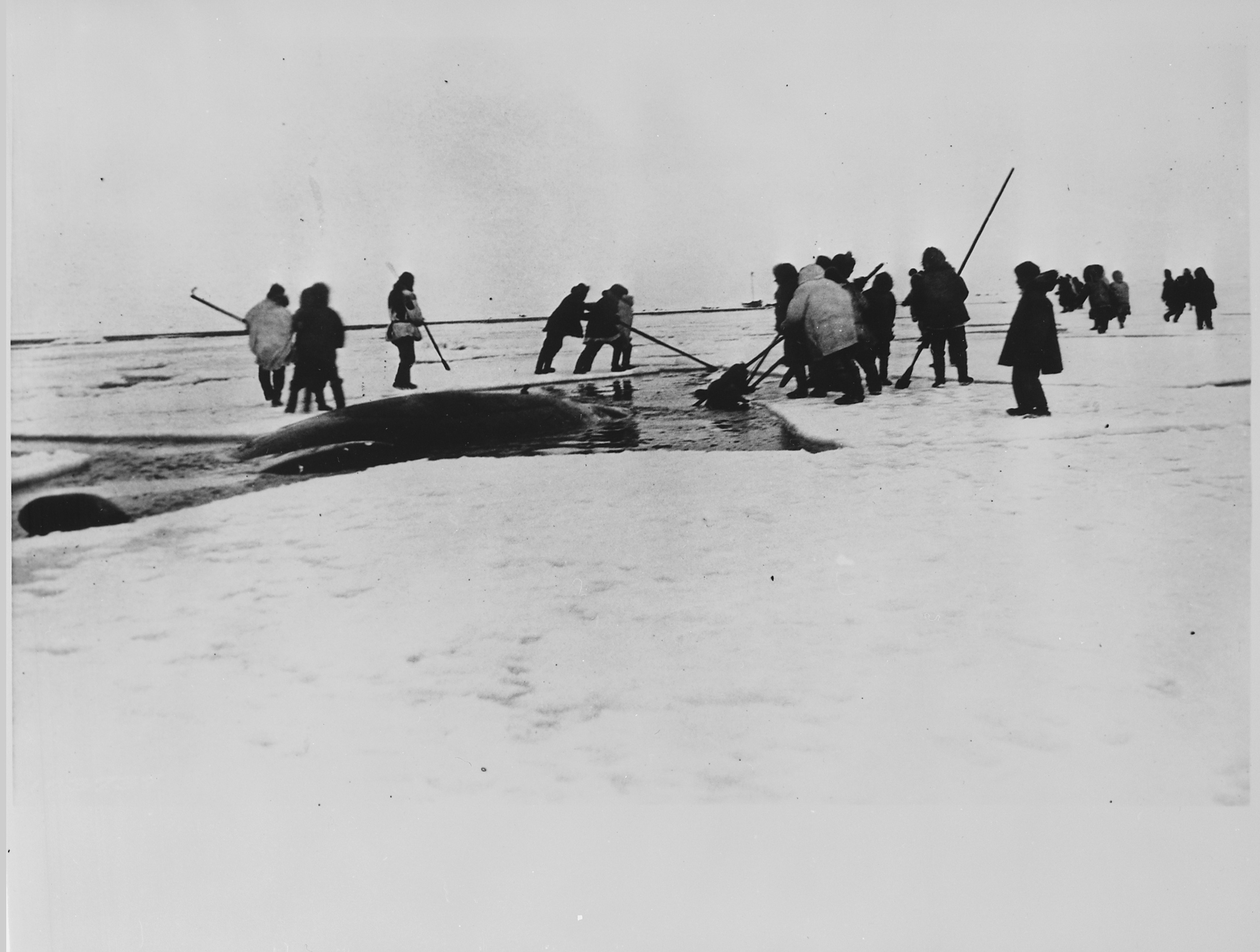 Eskimos: Hunger