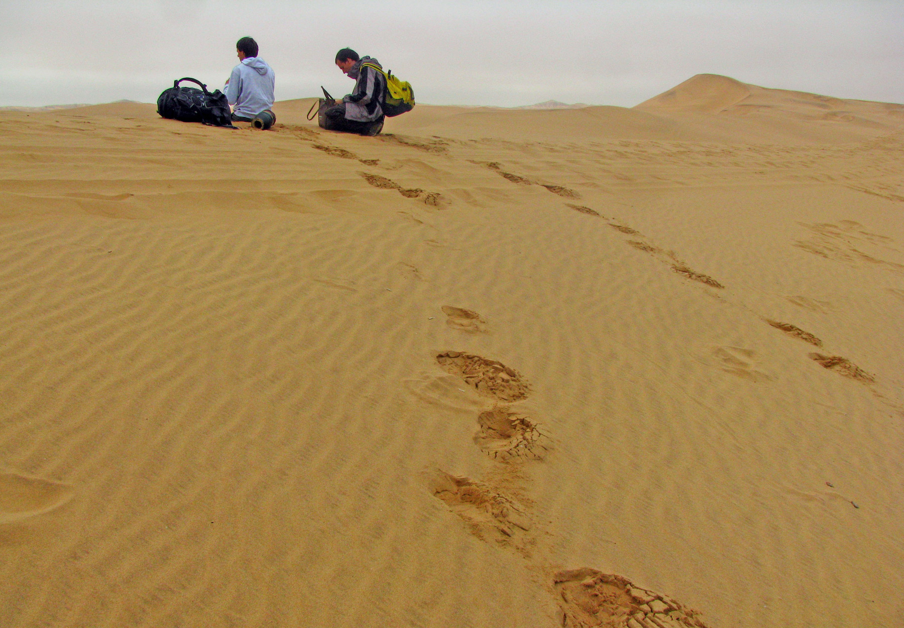pustinja-namib-02